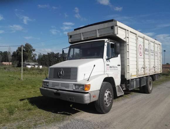 MERCEDES BENZ 1218 L 42 en Lago Buenos Aires (Localidad)