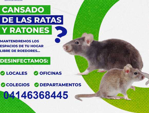 control de plaga (fumigacion)✅ en San Francisco (Municipio)