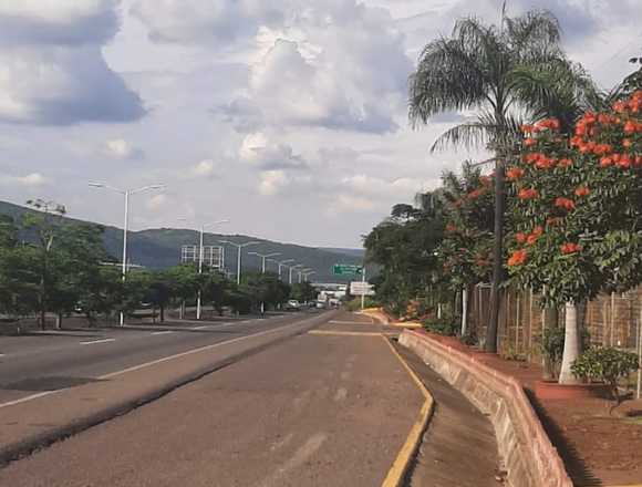 25,000 M2 a pie de López Mateos Sur