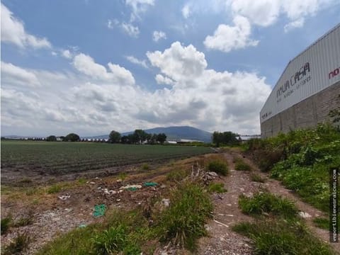 TERRENO VENTA 19,100 M2 INGRESO CARRETERA SAHUAYO/JIQUILPAN MICHOACAN