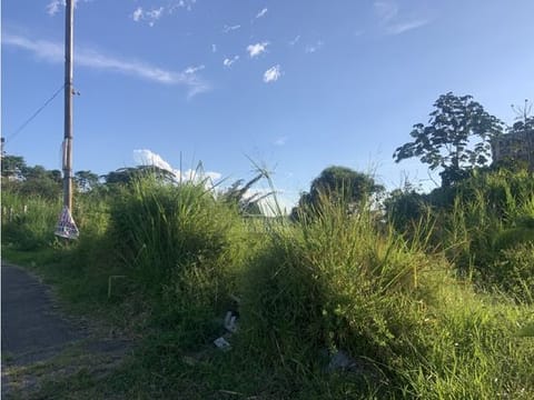 Lote Urbano En Venta Avenida Bolivar (Autopista de Café)