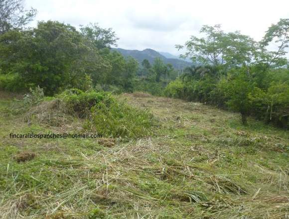 lote vereda apicata en anapoima