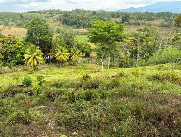 Finca Buena Vista | Se vende Terreno en Bijagua!