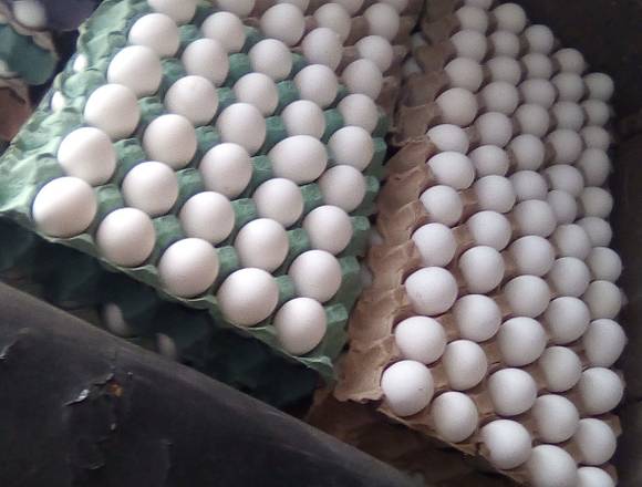 Vendo huevos llevo sin cargo en Parana (Localidad)