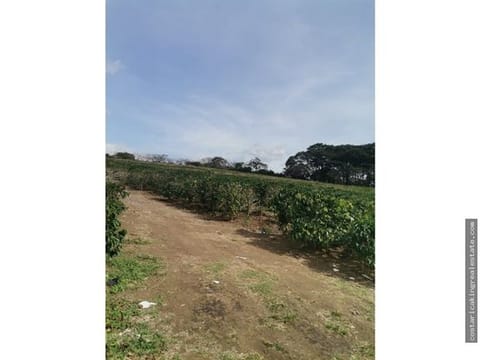 Lote de 6 ha en San Pablo, Heredia