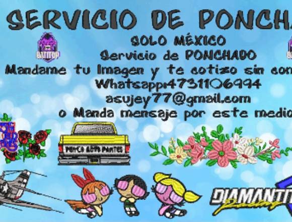 Ponchados para BORDADO en Guanajuato (Municipio)