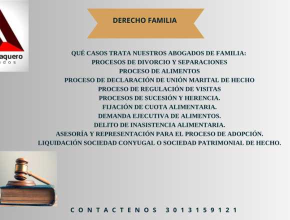 ASESORIA EN DERECHO FAMILIA en Bogotá, D.C. (Municipio)