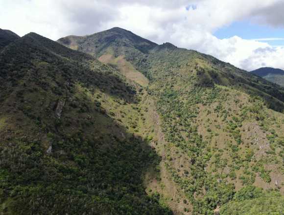 Finca en Constanza 3,000 tareas en Constanza (Municipio)