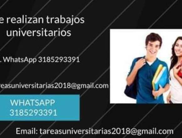Se Realizan Trabajos Universitarios. en Neiva (Municipio)