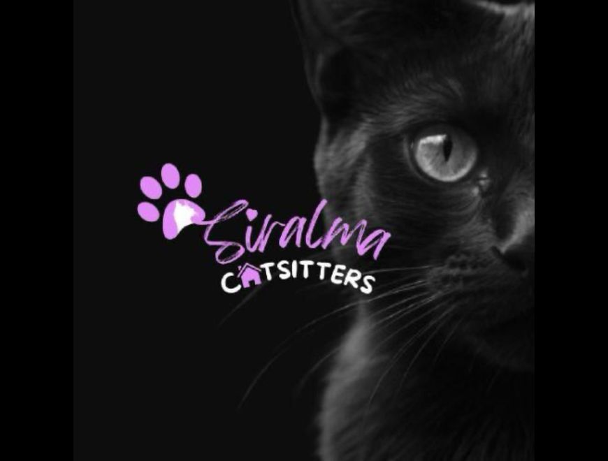 Catsitter (cuidado de tu mascota a domicilio) en Granadilla de Abona (Municipio)
