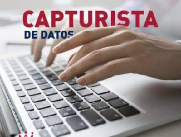 Se solicita Capturista