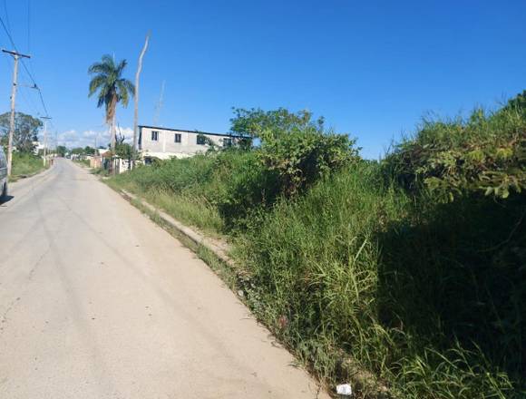Titulo al día ,deslindado en Santo Domingo de Guzmán (Municipio)