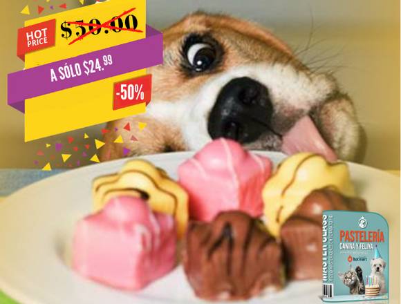 Curso ONLINE Pastelería Canina y Felina en Colombia (Municipio)
