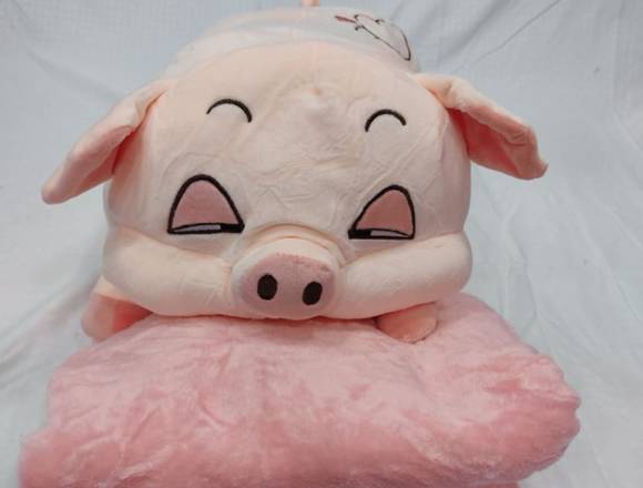 COBIJAS PELUCHES PARA LOS PEQUEÑOS DE LA CASA en Villavicencio (Municipio)