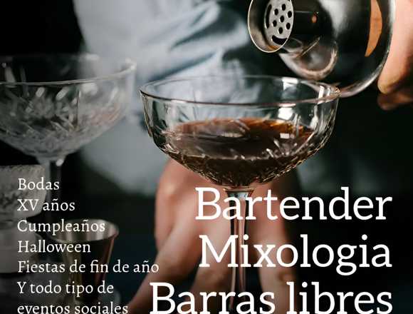 Bartender y coctelería profesional para eventos. en Cuauhtémoc (Municipio)