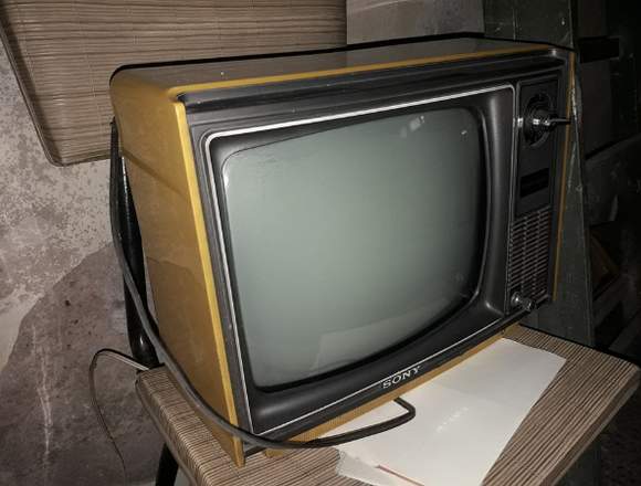 Televisor Panasonic Solid State 16 pulgadas.