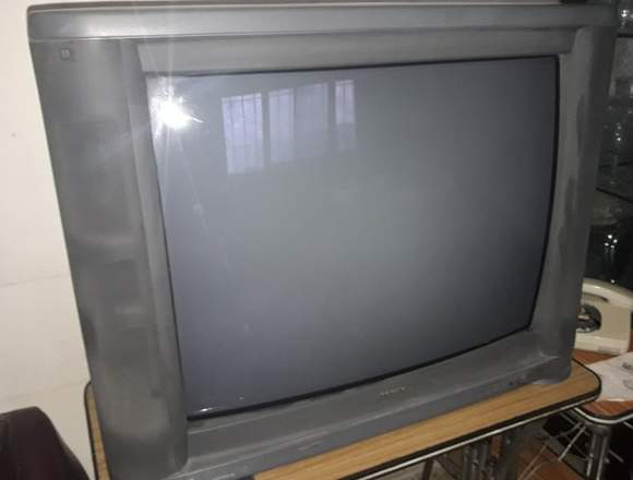 Televisor Toshiba 29 pulgadas.