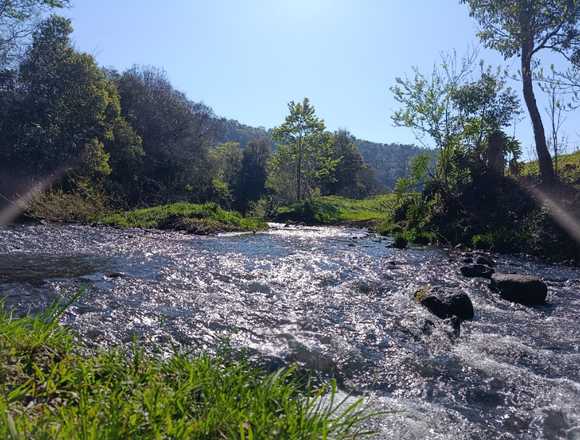 Chacra con monte nativo en venta en El Soberbio (Localidad)