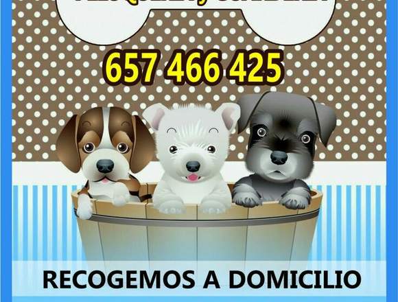 Peluquería y Guardería Canina Lili