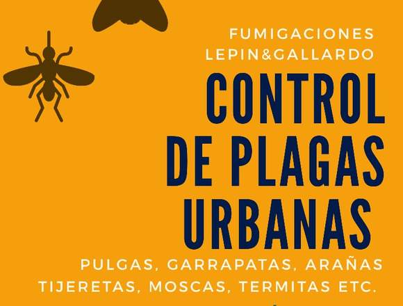 Control de plagas urbanas, pulgas. en Padre Hurtado (Comuna)