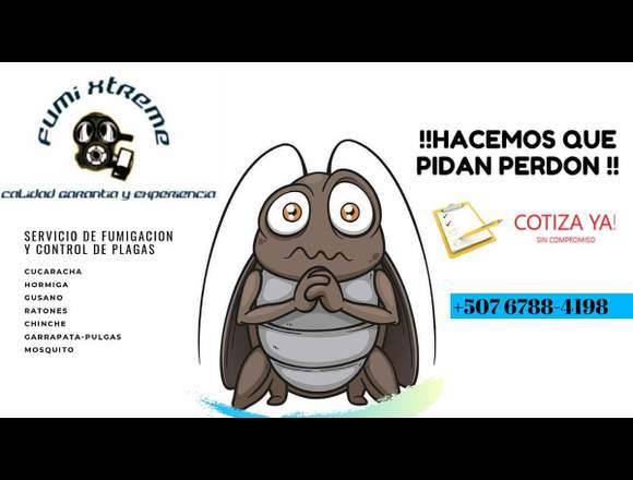 Servicio de fumigacion y control de plagas en Panamá (Distrito)