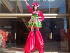 Zanqueros / Show para Activaciones