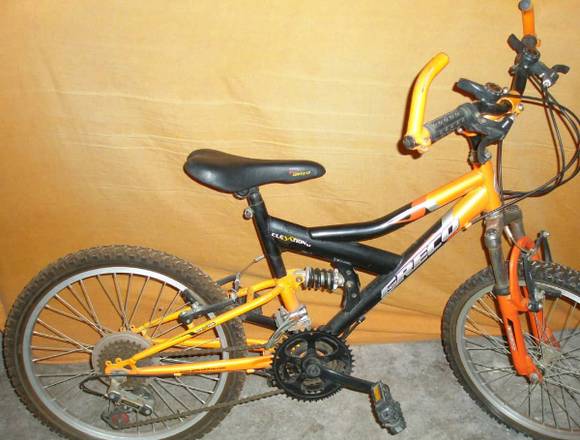 Bicicleta Greco Rin 20 en Valencia (Municipio)