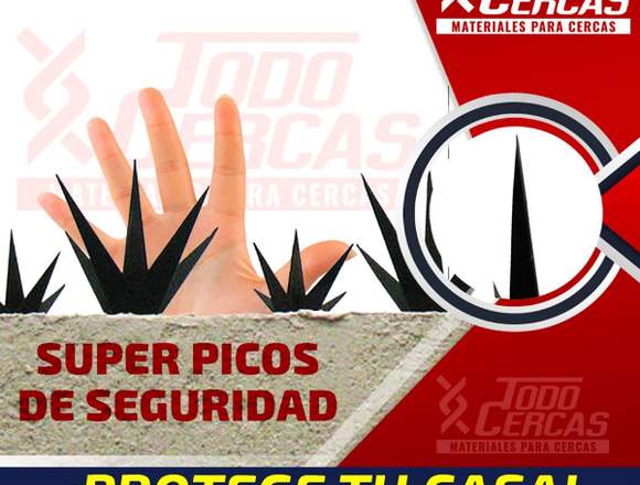 SUPER PICOS DE SEGURIDAD en Xalapa (Municipio)