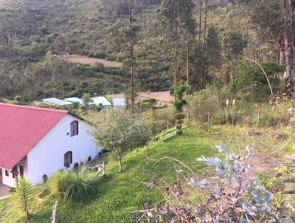 VENDO TERRENO CASAS CON TODOS LOS SERVICIOS en Paute (Cantón)