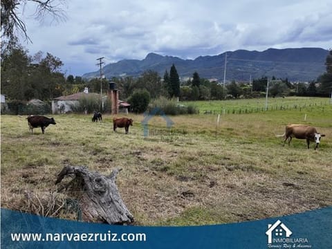 En Venta Lindo Lote de 1.310m2 en Tabio Lourdes