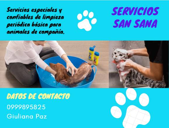 Limpieza periódica para tu mascota a domicilio en Quito (Cantón)