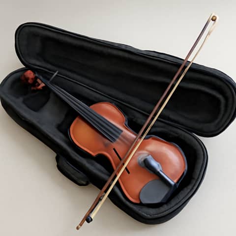 Violin Eastman pelajar 3/4 lengkap dengan case, busur, dan rosin