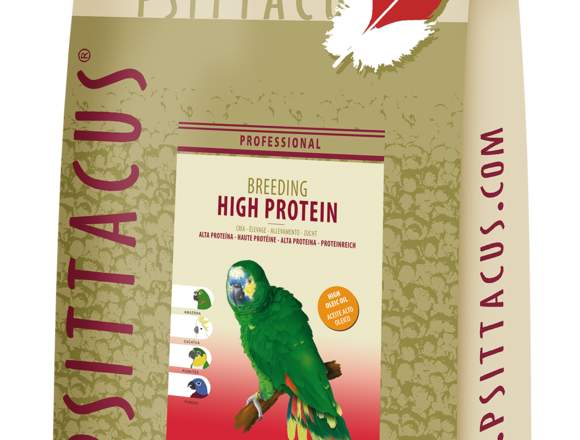 Croqueta Alta Proteína Reproducción de Aves 12k. en Arteaga (Municipio)