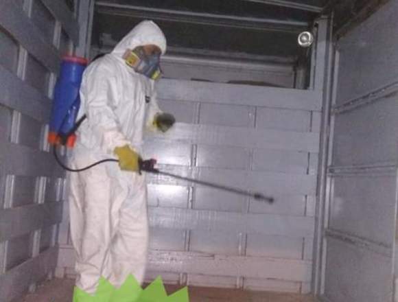 Fumigacion contra cucarachas 977416582