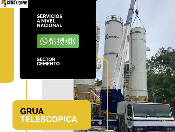 el guru de las gruas