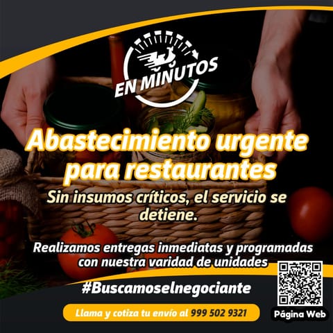 Paqueteria Especializada en Mérida En Minutos MID en Mérida (Municipio)
