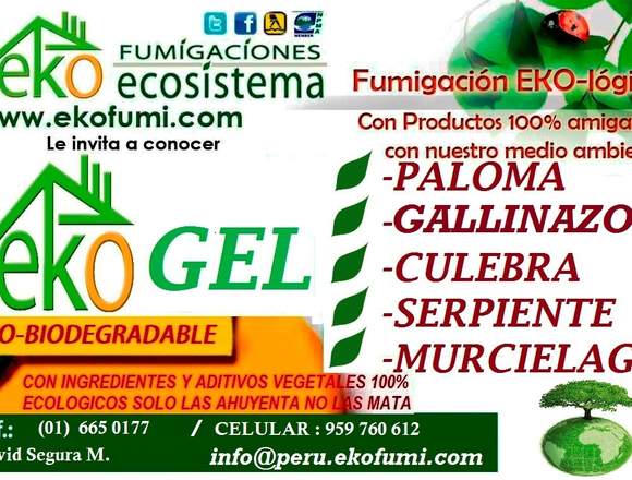 fumigaciones ecosistema eko en Surquillo (Lima 34) (Distrito)