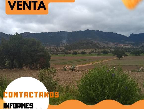 BOSQUE EN VENTA EN TLAXCO en San Juan Huactzinco (Municipio)