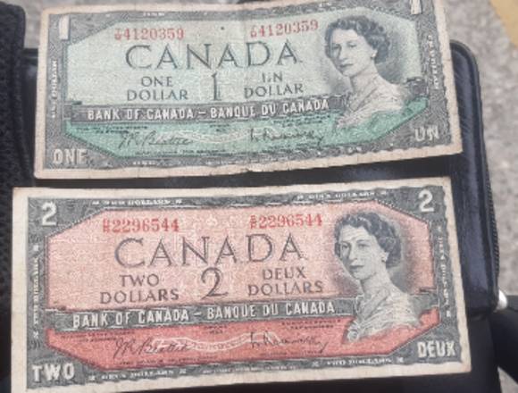 Billete de 1 y 2 dólares canadienses en Carrizal (Municipio)