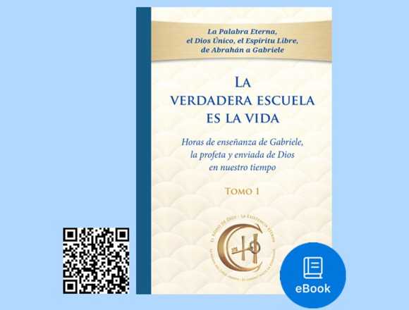 eBook La verdadera escuela es la vida Tomo uno en Concepción (Comuna)