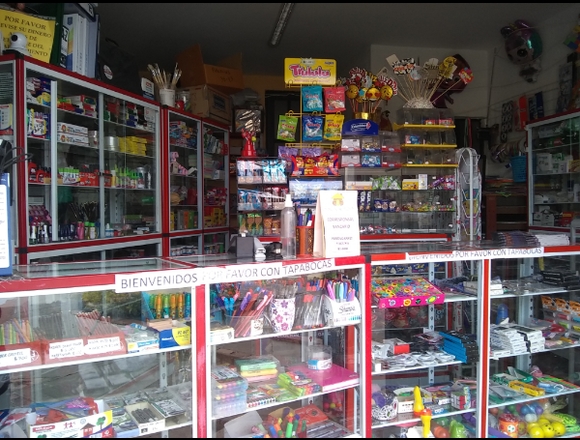 Negocio multiservicios. Excelente ubicación