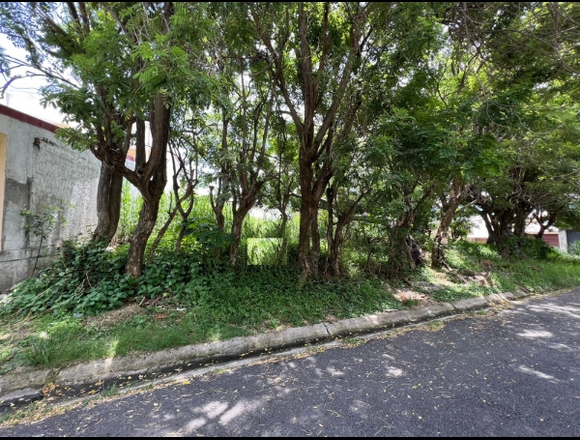 Se vende Terreno Rohrmoser, San José #1238