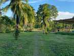 Se vende Finca en San Pablo, Siquirres, Limón #39