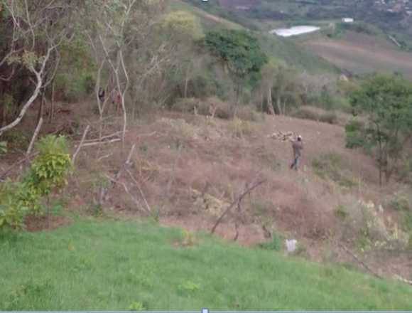 VENTA DE PARCELAS. GRAN OPORTUNIDAD DE INVERSIÓN. en Jiménez (Municipio)