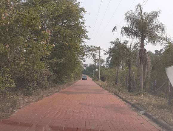 Venta de lote por ocacion a bajo costo