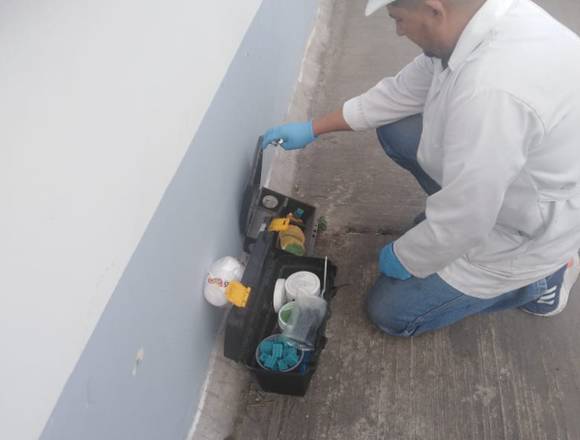 SERVICIO DE FUMIGACIÓN Y CONTROL DE PLAGAS en Quito (Cantón)