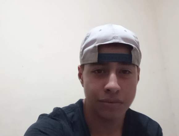 cuidador profesional de mascotas