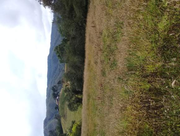 VENDO ESPECTACULAR FINCA VÍA LA LAGUNA GUATAVITA en Guatavita (Municipio)