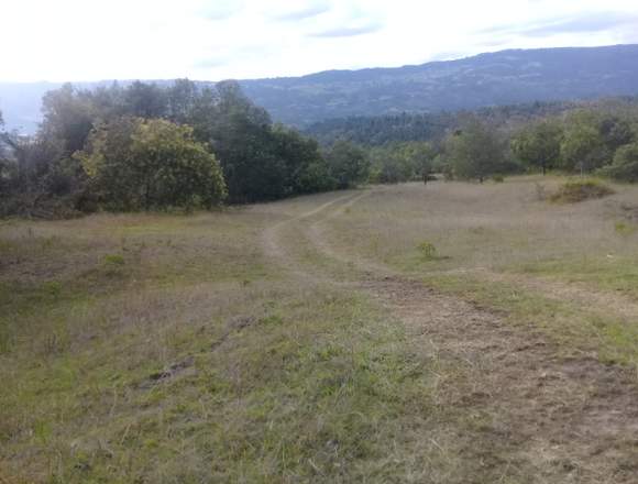 VENDO ESPECTACULAR PROPIEDAD ECO-TURÍSTICA GUATAVI en Guatavita (Municipio)