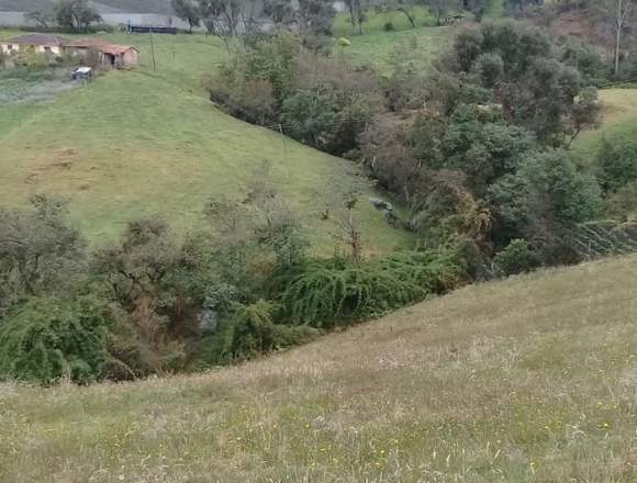 VENDO EXCELENTE PROPIEDAD EN GUATAVITA en Guatavita (Municipio)